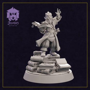 Galnick Manastorm Gnome Wizard